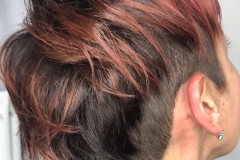 Il fascino dei capelli rossi - Rosanna Hair Fashion a Caronno Pertusella (VA)