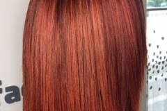 Il fascino dei capelli rossi - Rosanna Hair Fashion a Caronno Pertusella (VA)