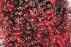 Il fascino dei capelli rossi - Rosanna Hair Fashion a Caronno Pertusella (VA)