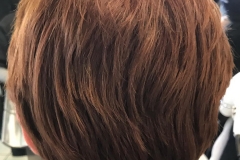 Il fascino dei capelli rossi - Rosanna Hair Fashion a Caronno Pertusella (VA)